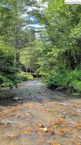 99 Lynn Lane, Glade Valley, NC, 28627