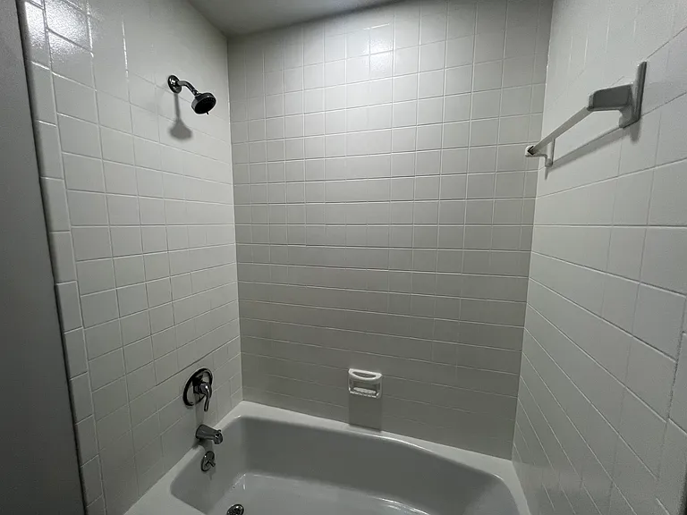 Shower in the Bathroom