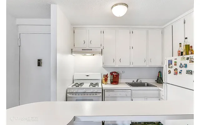 Rented by Douglas Elliman | media 2
