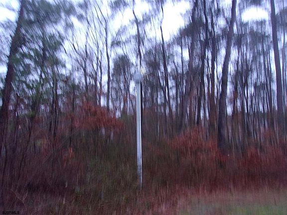 4th image of 133 Rumson Dr #1011