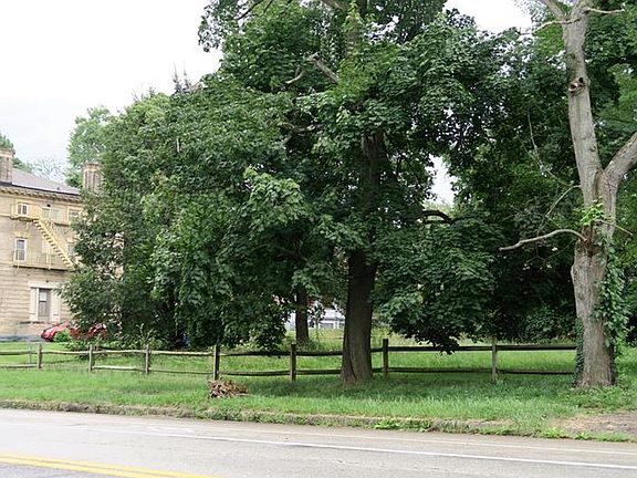 3rd image of 7090 Thomas Blvd