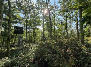 0 Gumaer Falls Rd, Wurtsboro, NY 12790