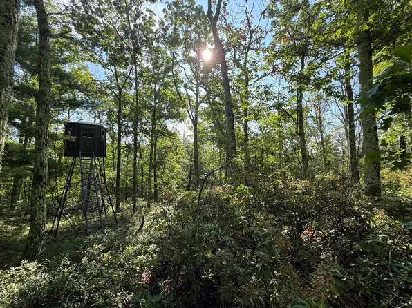 0 Gumaer Falls Rd, Wurtsboro, NY 12790