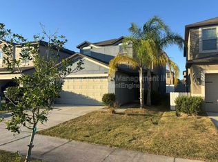 7408 French Marigold Ave, Tampa, FL 33619