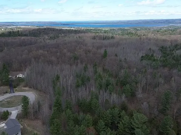 5479 Glendenning Trl, Williamsburg, MI 49690