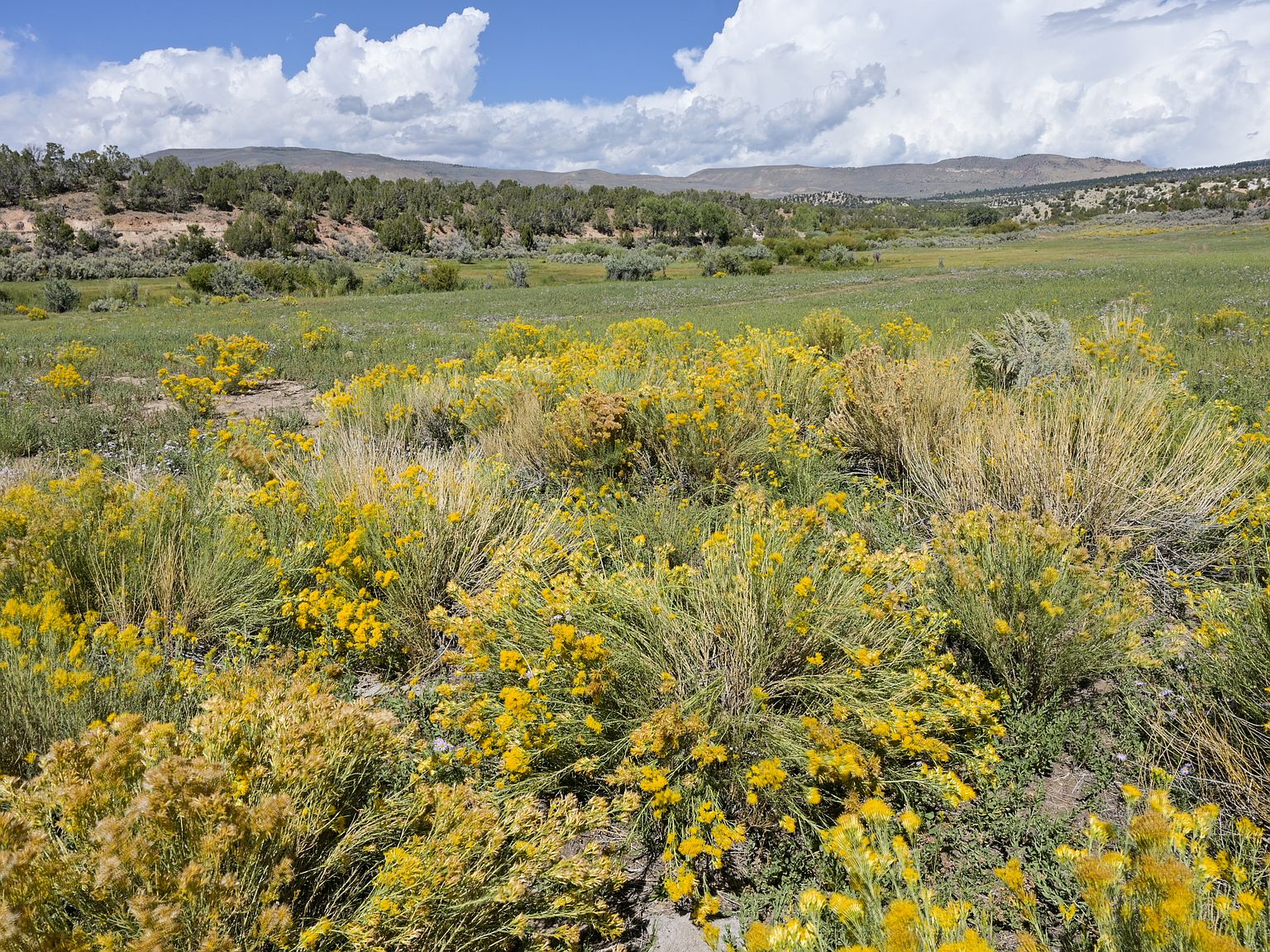 12885 E 15000 N, Lapoint, UT 84039 Zillow