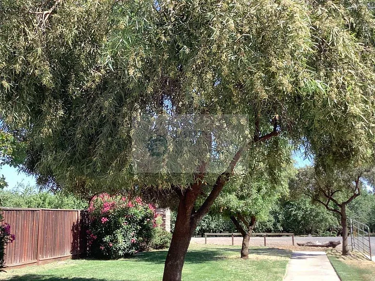 833 Branding Iron St — Photo 2
