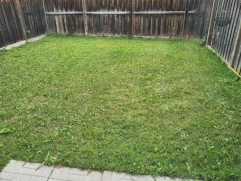 737 Agnew Cres — Photo 3