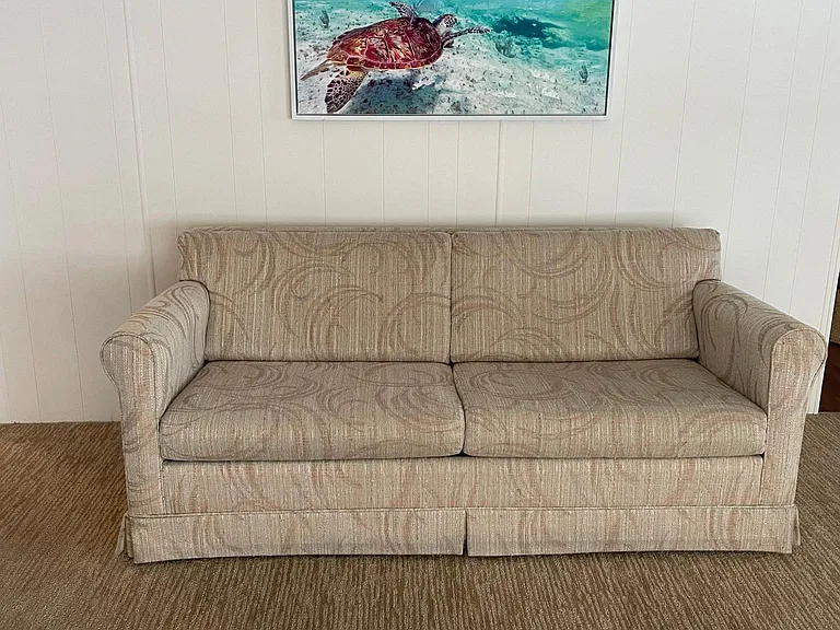 Large living room w/ 3 leather recliner chairs (not pictured) and this couch that folds out into a bed.