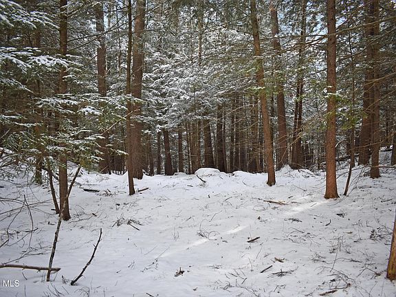 5th image of 34 Carriage Knolls Road