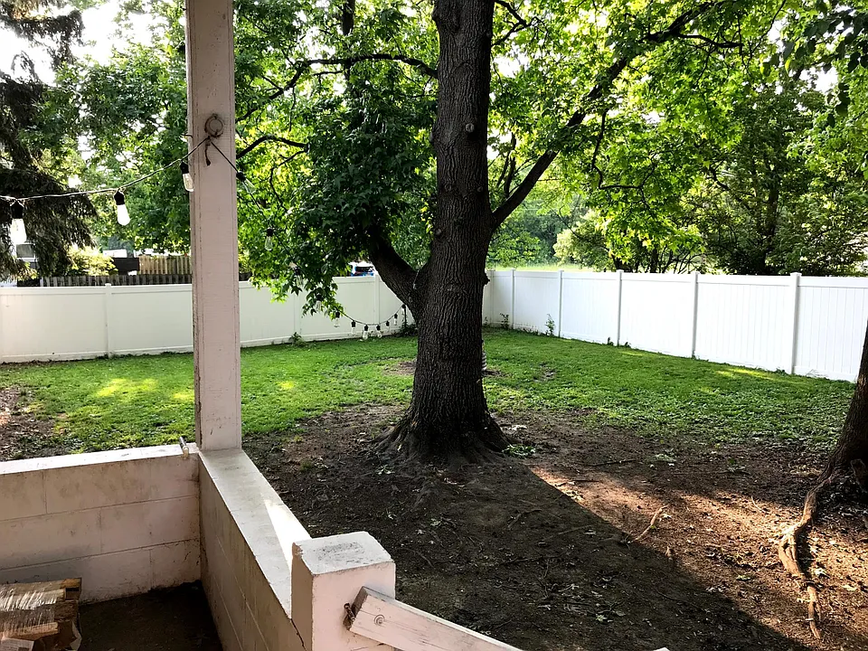 Back yard