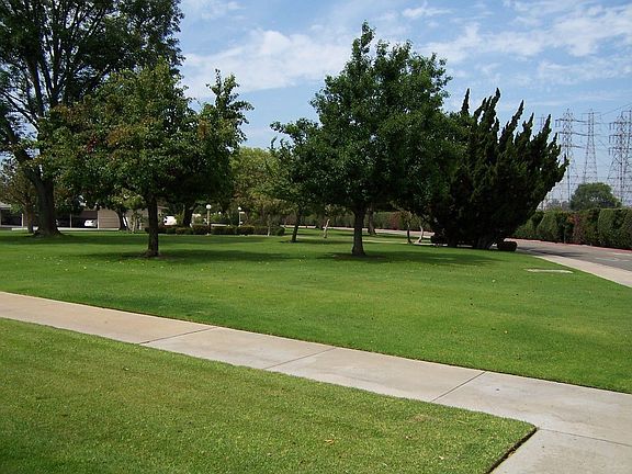 View from your patio