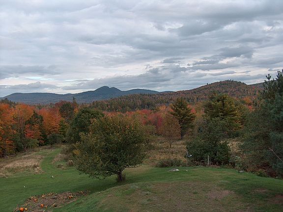 View from Master Bedroom/Deck