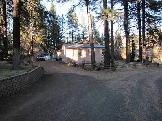 3821 Thicket Ct photo 1