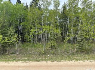 3 George St, Big River, SK S0J0E0