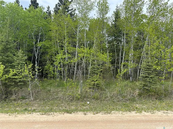 3 george STREET, Big River, SK S0J 0E0