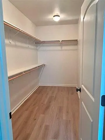 208 Knoll Pine Cir — Photo 14