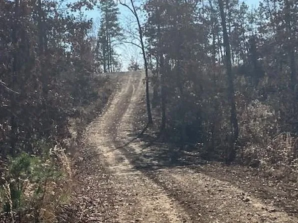 54 Madison St #410, Fredericktown, MO 63645