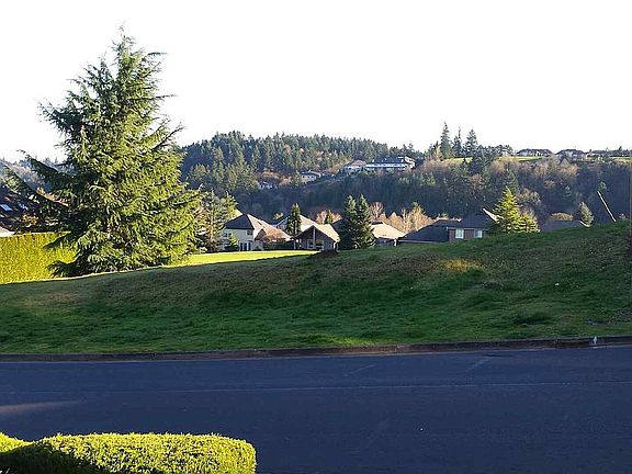 Front yard view