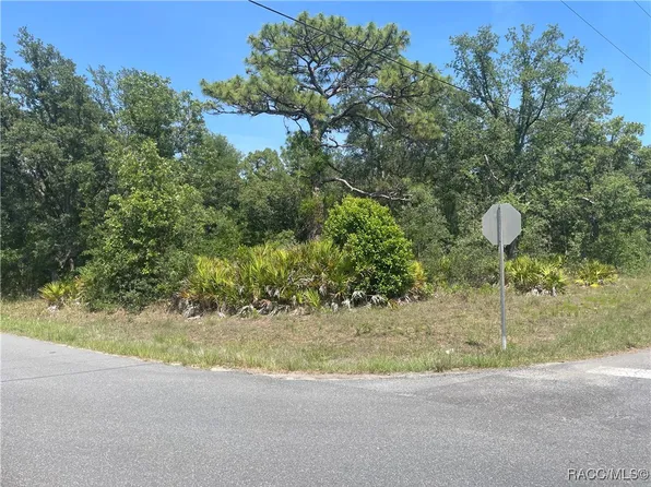 6645 W Erlen Ln, Homosassa, FL 34446