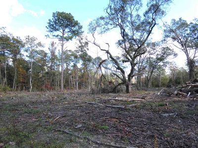 Gamble Rd, Monticello, FL, 32344