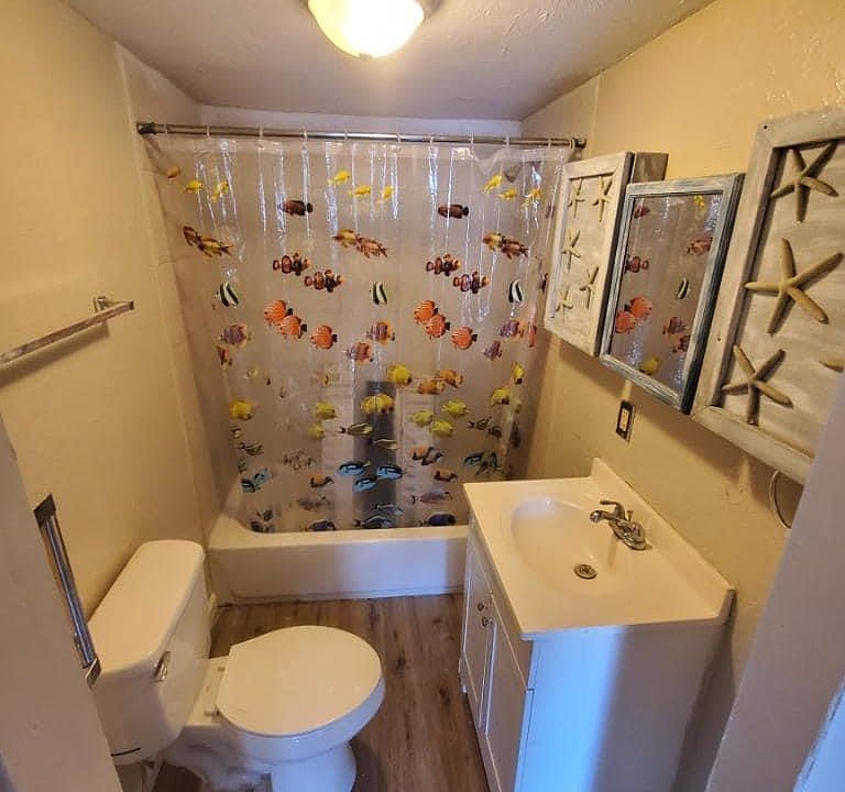 1st image of 215 Plumosa St
