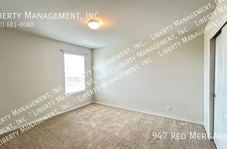 947 Red Merganser — Photo 19