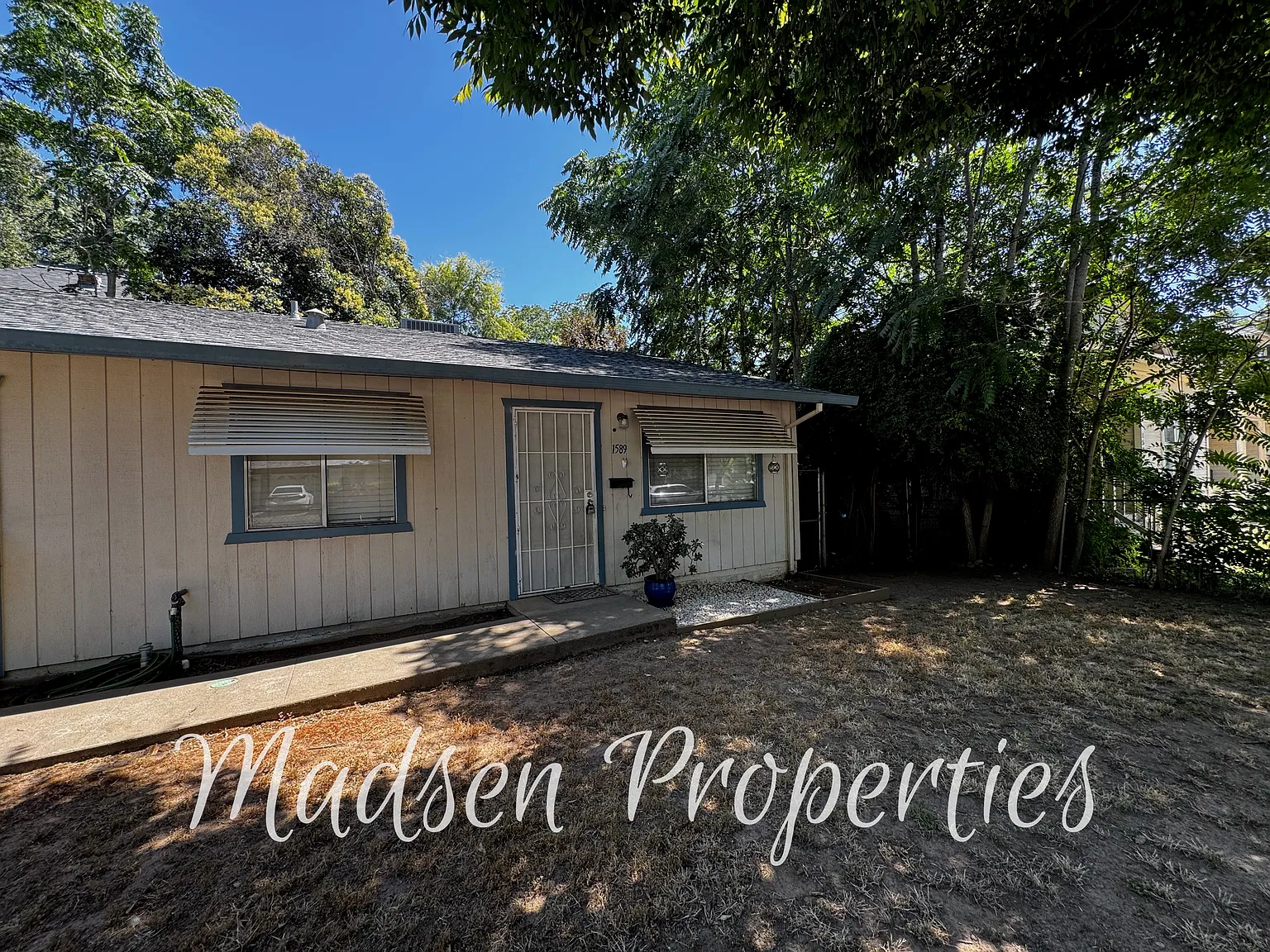 2 bed, 813 sqft, $1,650 — Photo 4