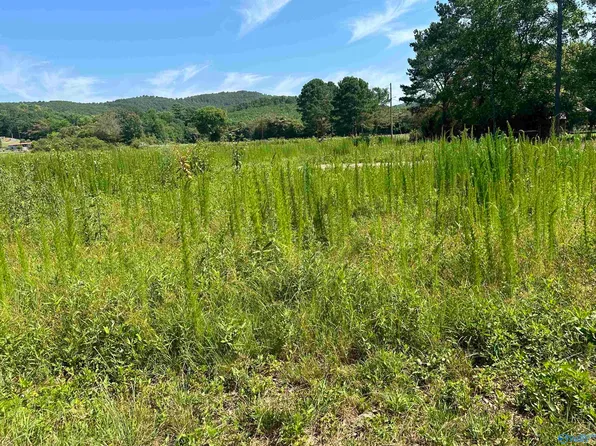 County Road 107, Gaylesville, AL 35973
