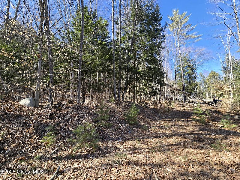 3rd image of L11.231 Valentine Pond Road