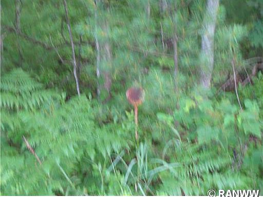 4th image of W9500 Hwy K