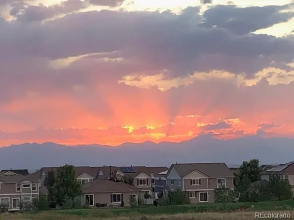 5299 Netherland Street, Denver, CO 80249
