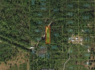 Holopaw Groves Rd, Saint cloud, FL 34773