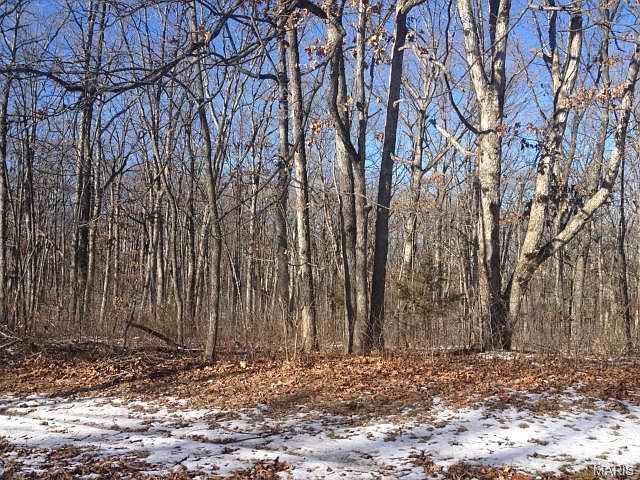 2nd image of 131 Turkey Creek Crossing Dr