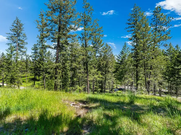 394 Windsor Ct, Bigfork, MT 59911