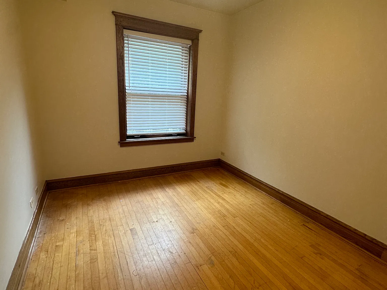 3 bed, $2,800 — Photo 2