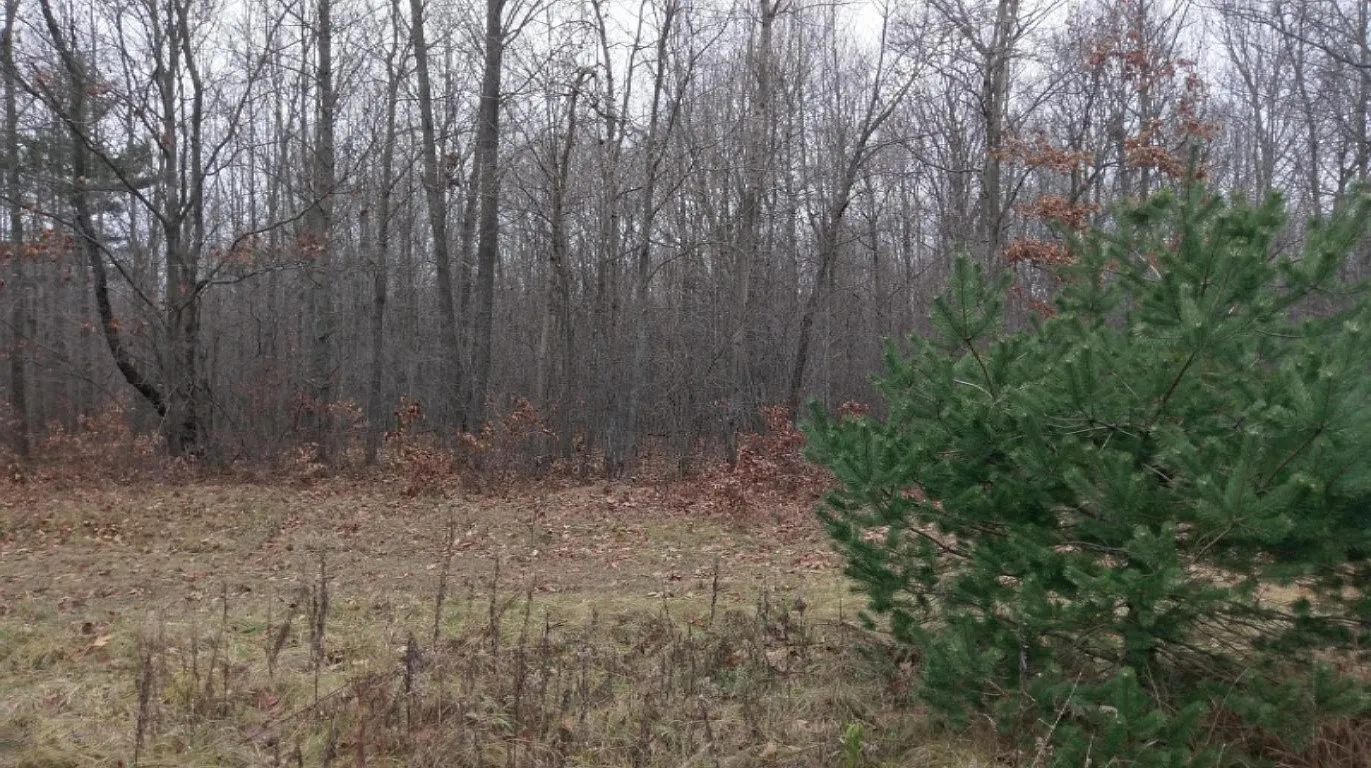 0 S North River Dr photo 1
