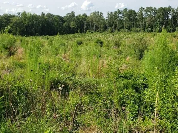 Fairway Dr, Newberry, SC 29108