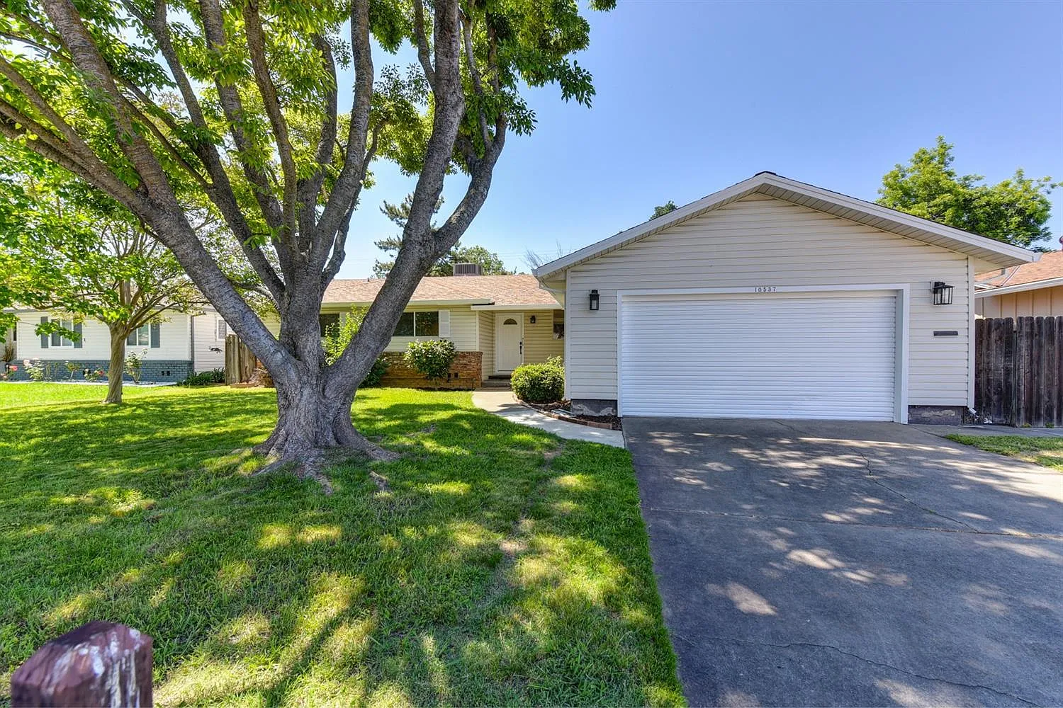 10537 Malvasia Dr photo 1