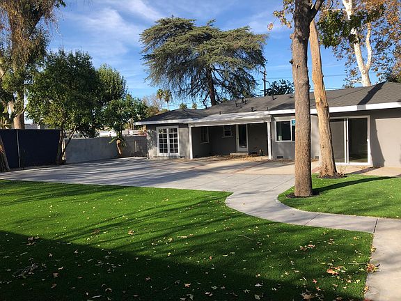 Backyard - turf lawn