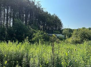 8656 Split Rail Dr, Caneadea, NY 14717