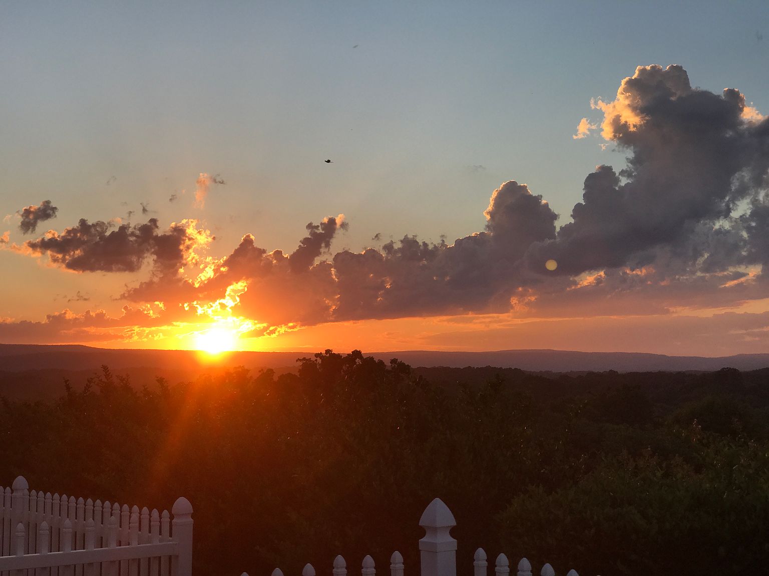 104 Millers Ln, Calhoun, GA 30701 Zillow