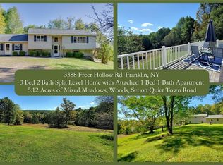 3388 Freer Hollow Rd, Walton, NY 13856