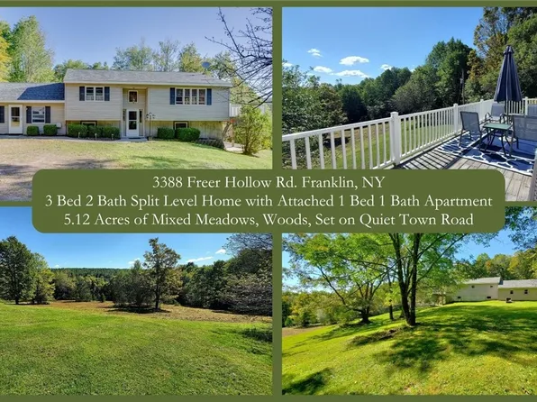 3388 Freer Hollow Rd, Walton, NY 13856