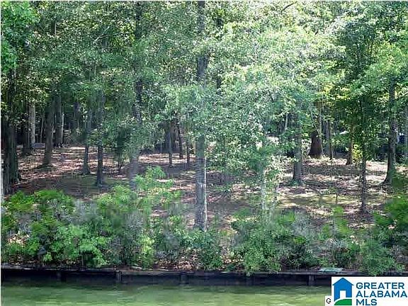3rd image of LOT 6 Wedowee Creek View Dr #6
