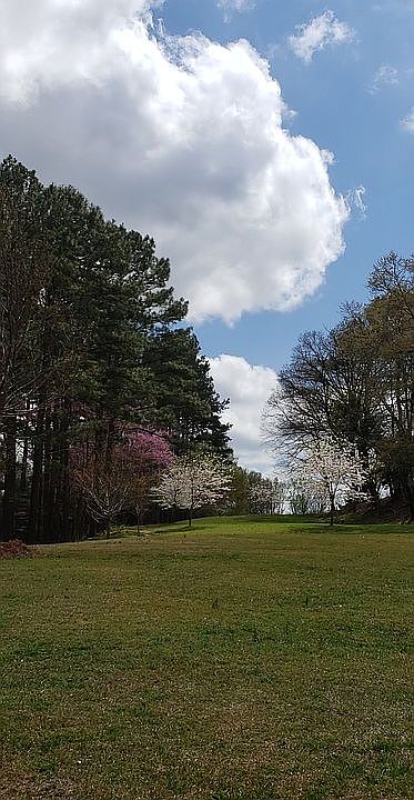 Blackburn Park