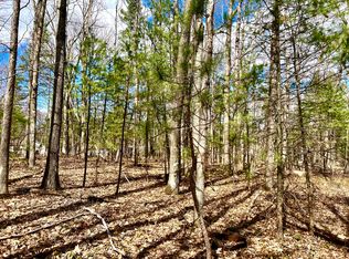 Dick Lots 5 6 7 28 29 30 St, Topinabee, MI 49791
