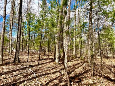 Dick Lots 5 6 7 28 29 30 St, Topinabee, MI, 49791