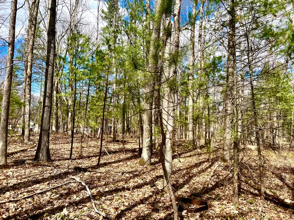 Dick Lots 5 6 7 28 29 30 St, Topinabee, MI 49791