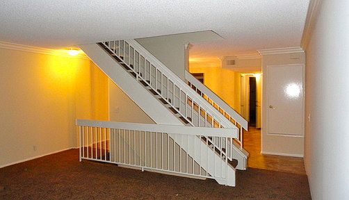2nd image of 5250 Colodny Dr APT 02